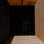 adjaye-eliasson4